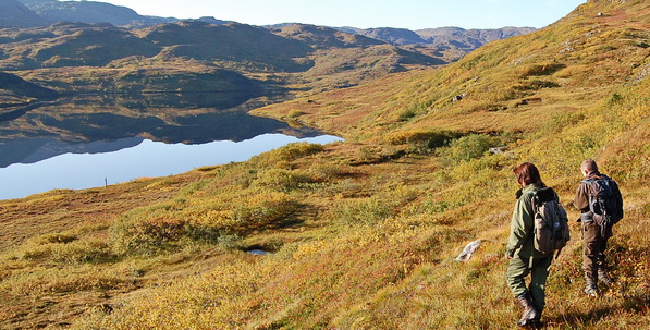 Sørøya ørretvann